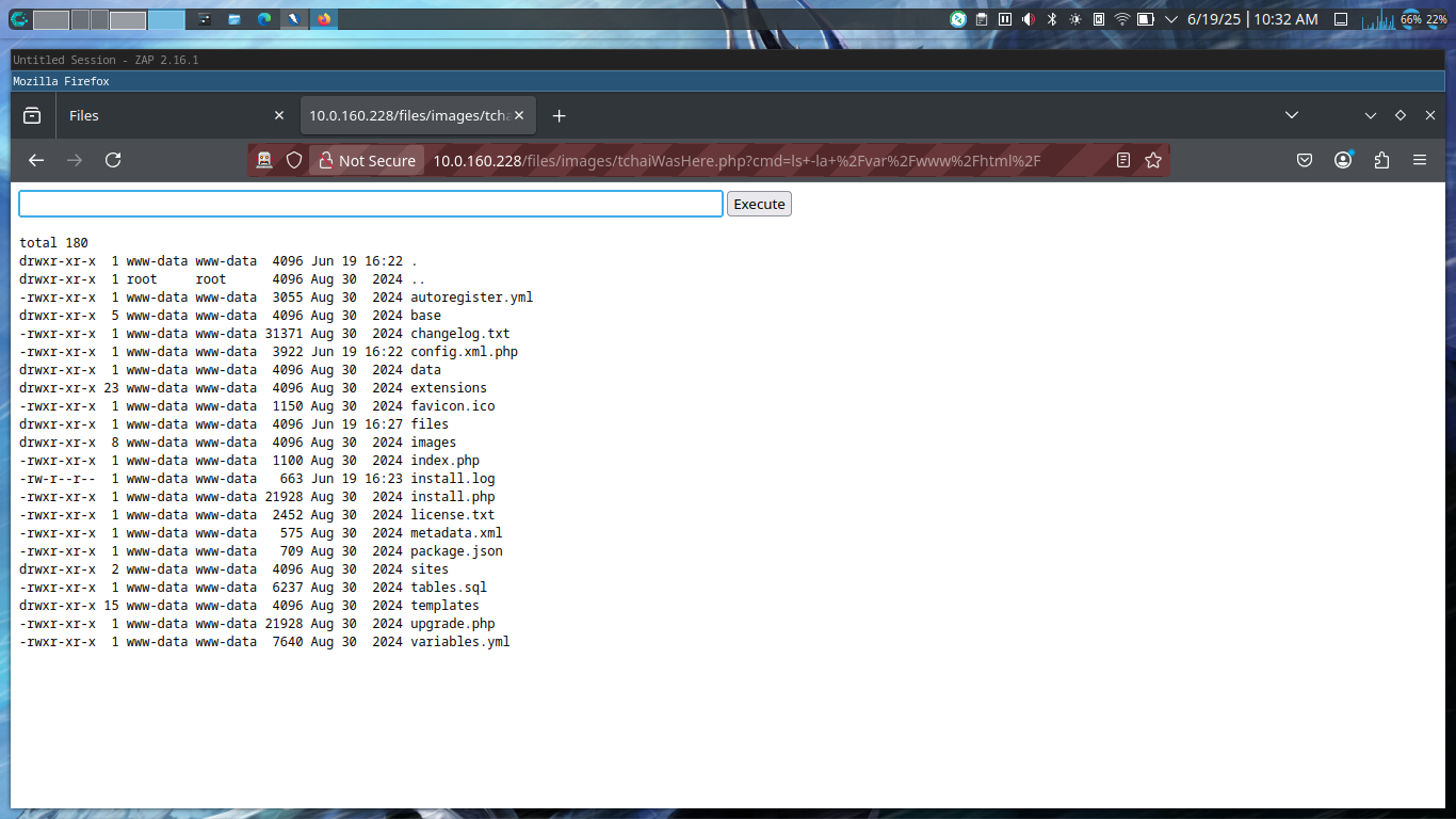 Web shell
